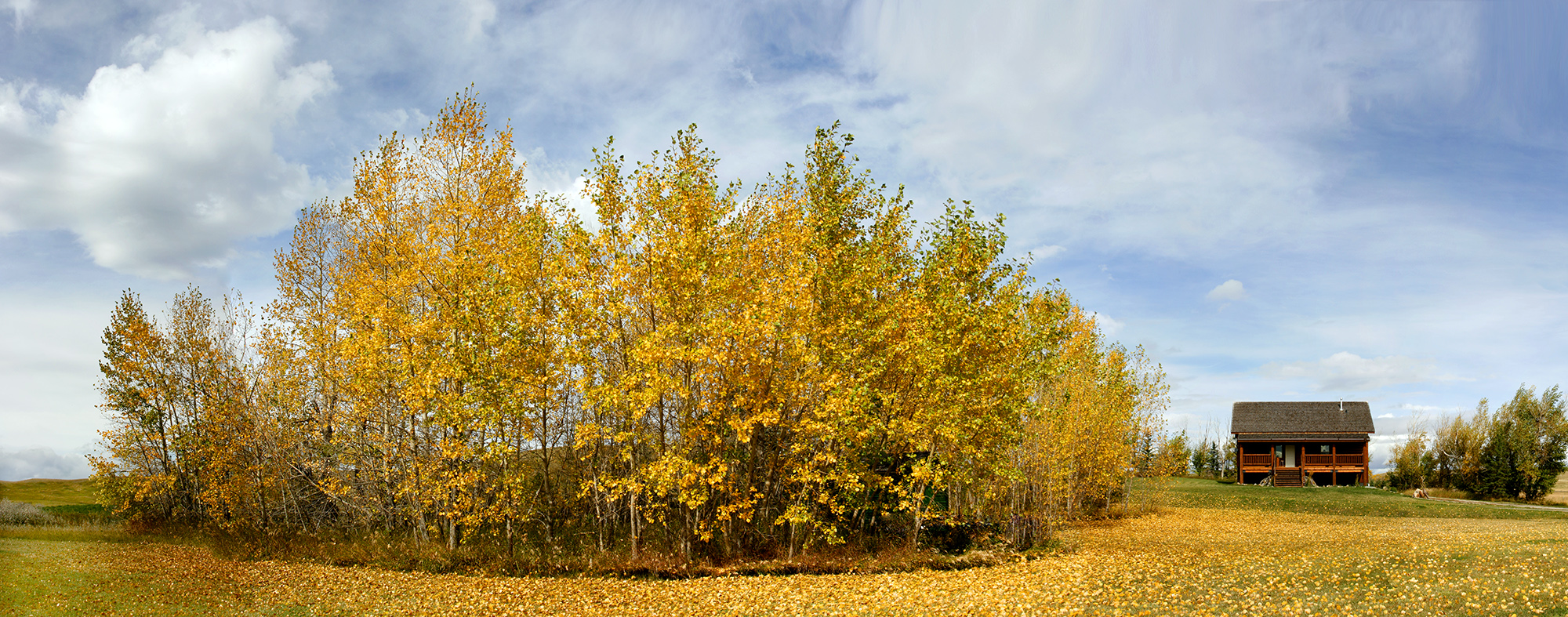 Panoramic Landscape Photography