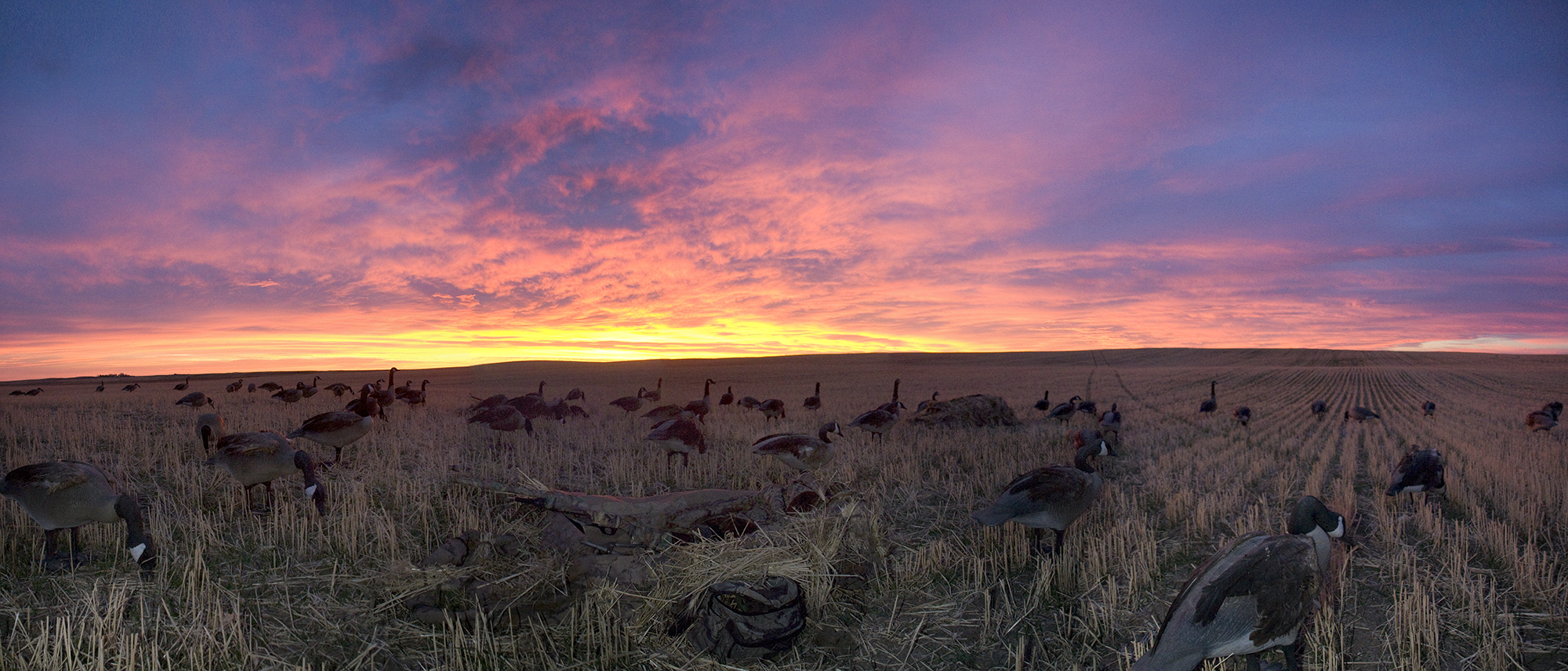 Panoramic Landscape Photography